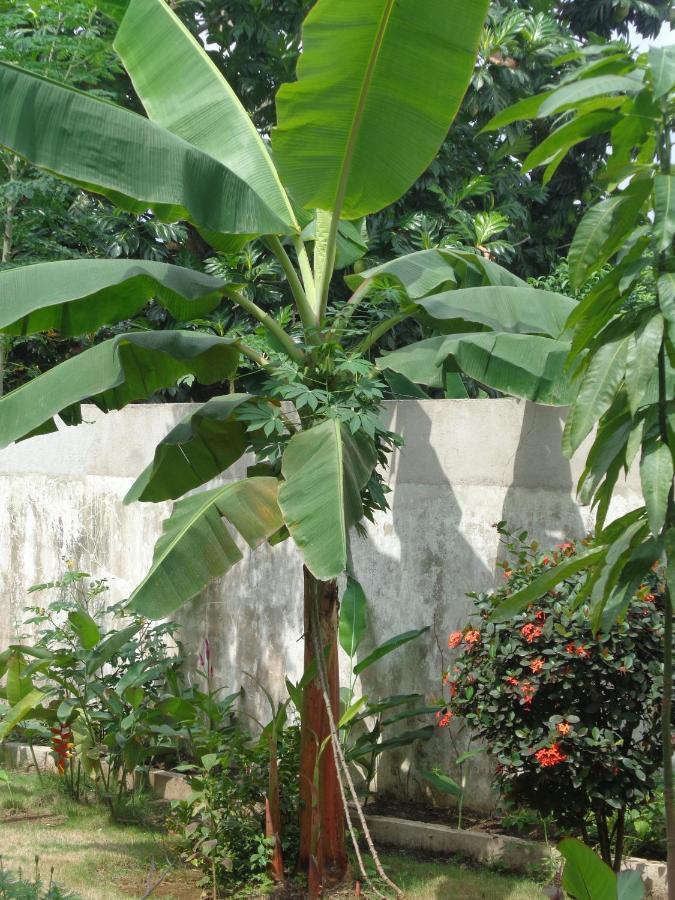 Hotel Santos`s House Sao Tome Exterior foto