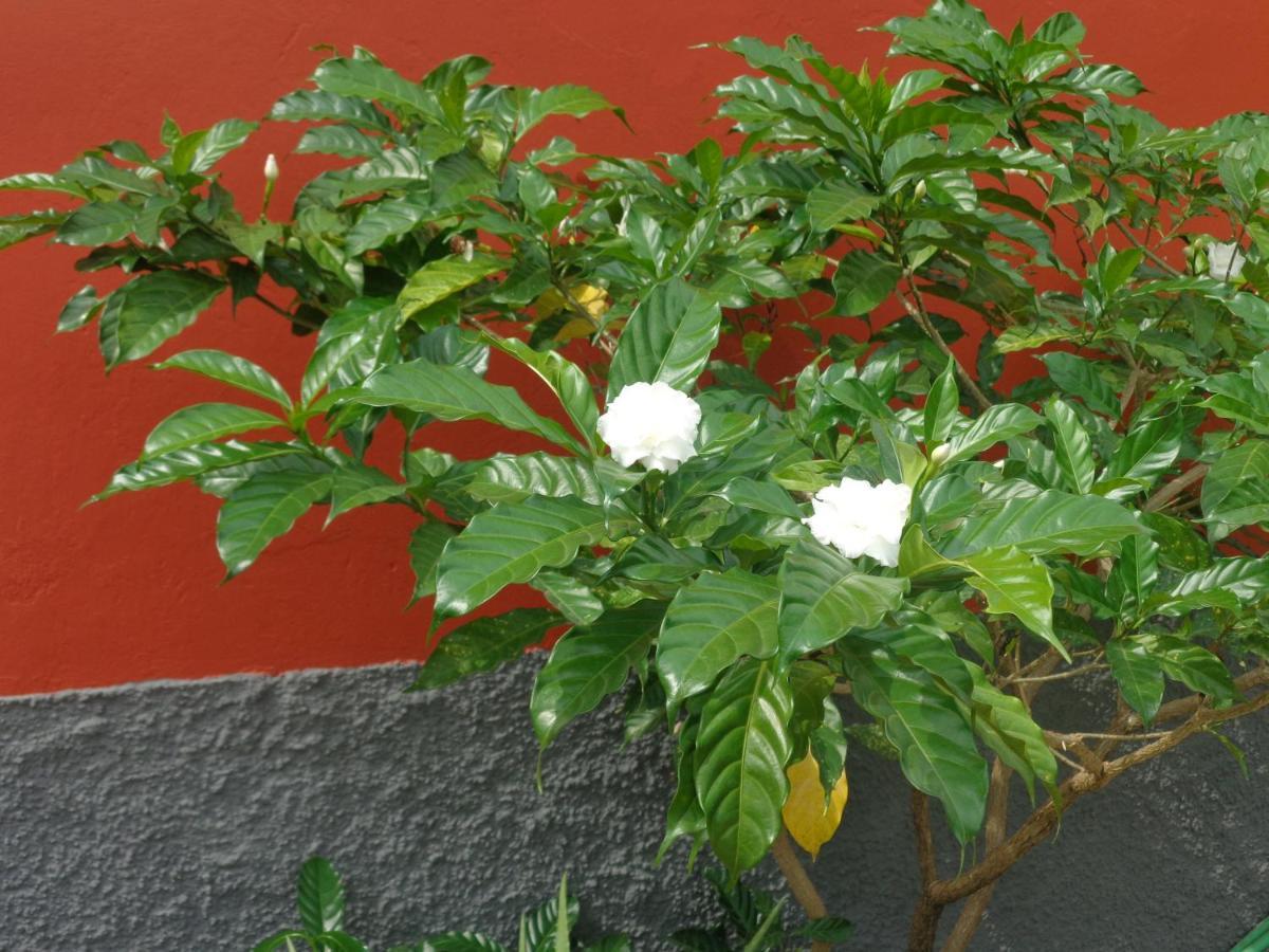 Hotel Santos`s House Sao Tome Exterior foto